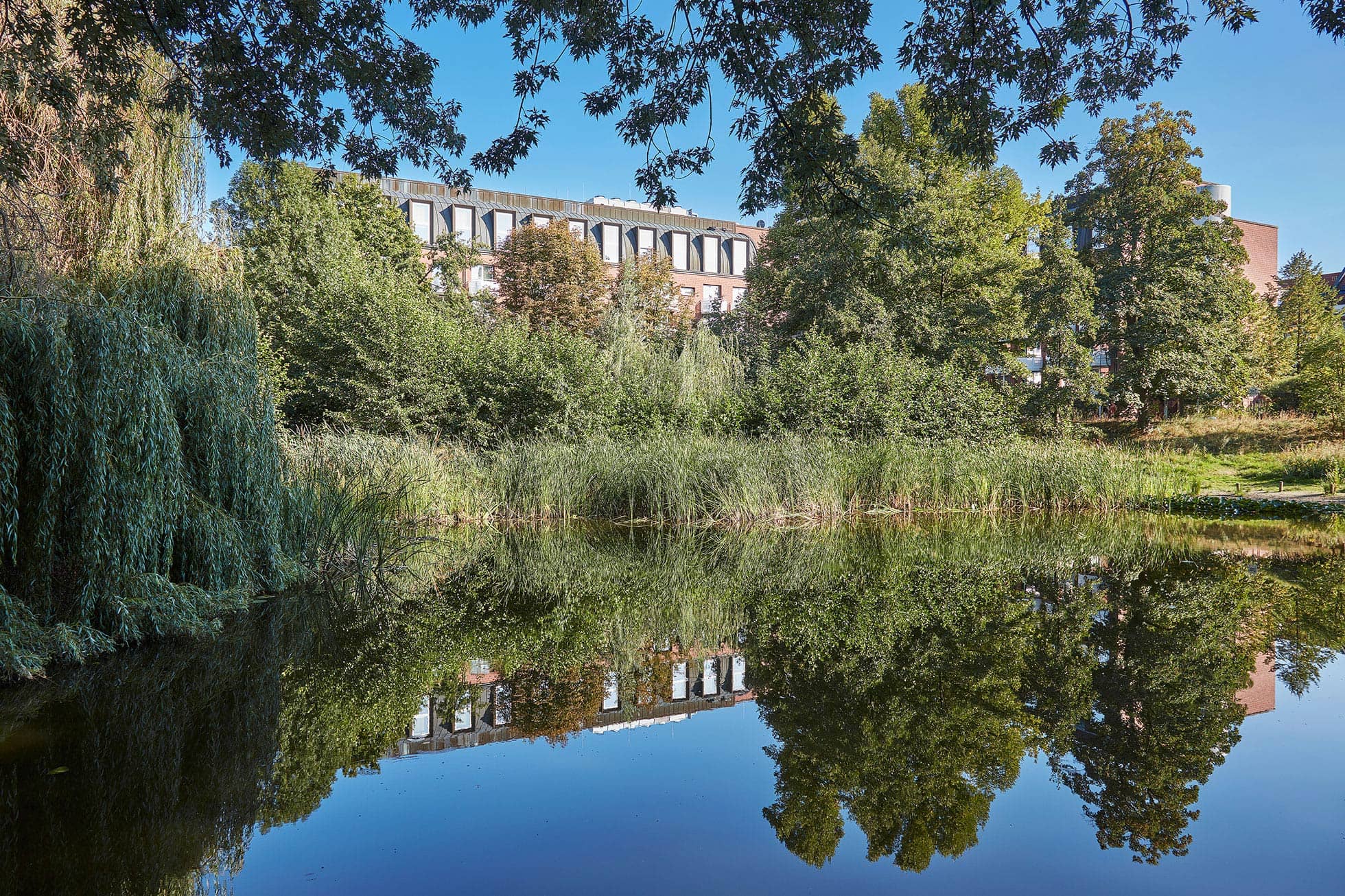Living Hotel Weissensee Umgebung Von Bäumen umringter See in Berlin