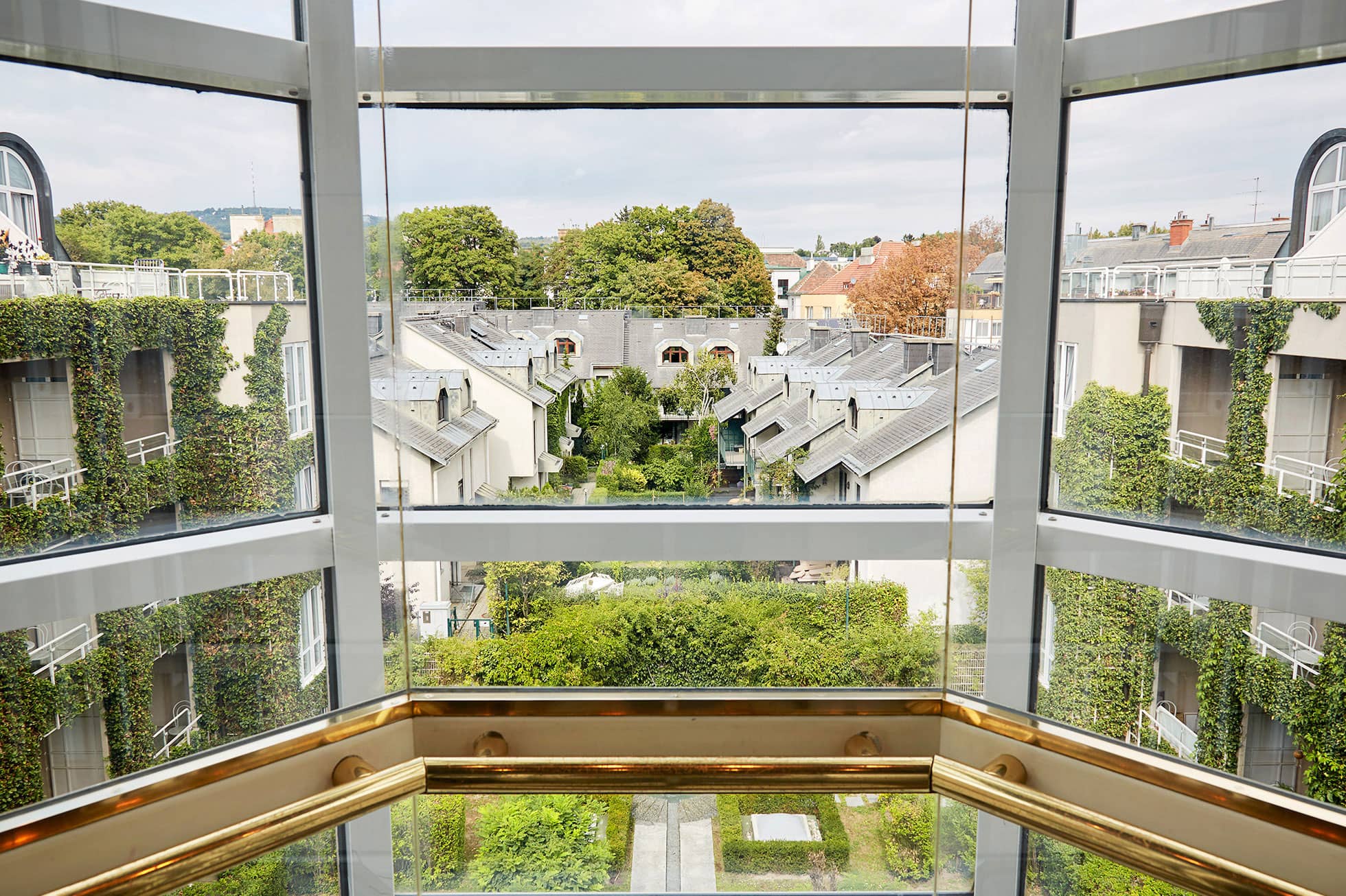 Ausblick aus Fenster ins Grüne