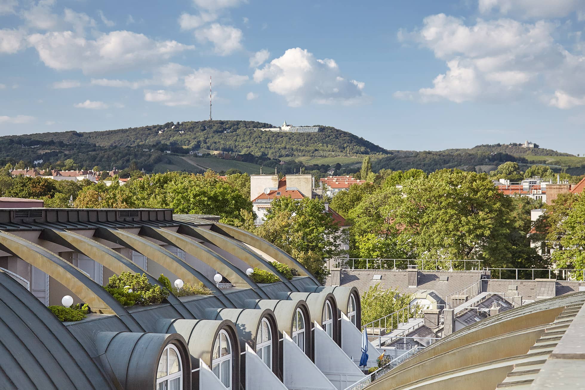 Wien Sehenswürdigkeiten Blick auf die Dächer und Weinberge aus dem Hotel